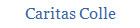 Caritas Colle